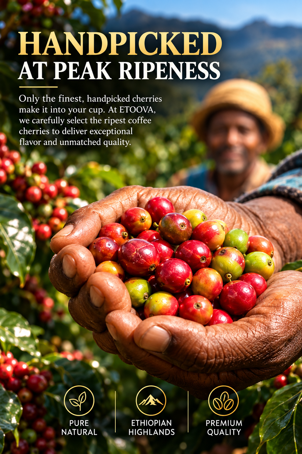 ETOOVA ETHIOPIAN COFFEE